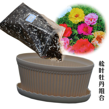 营养土、花卉蔬菜种子、花盆超值组合装 阳台