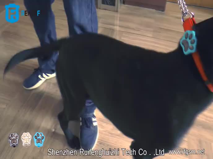 China Mini Gps Chip Pet Tracker Small Dog Gps Tracker Cat Wifi Tracking