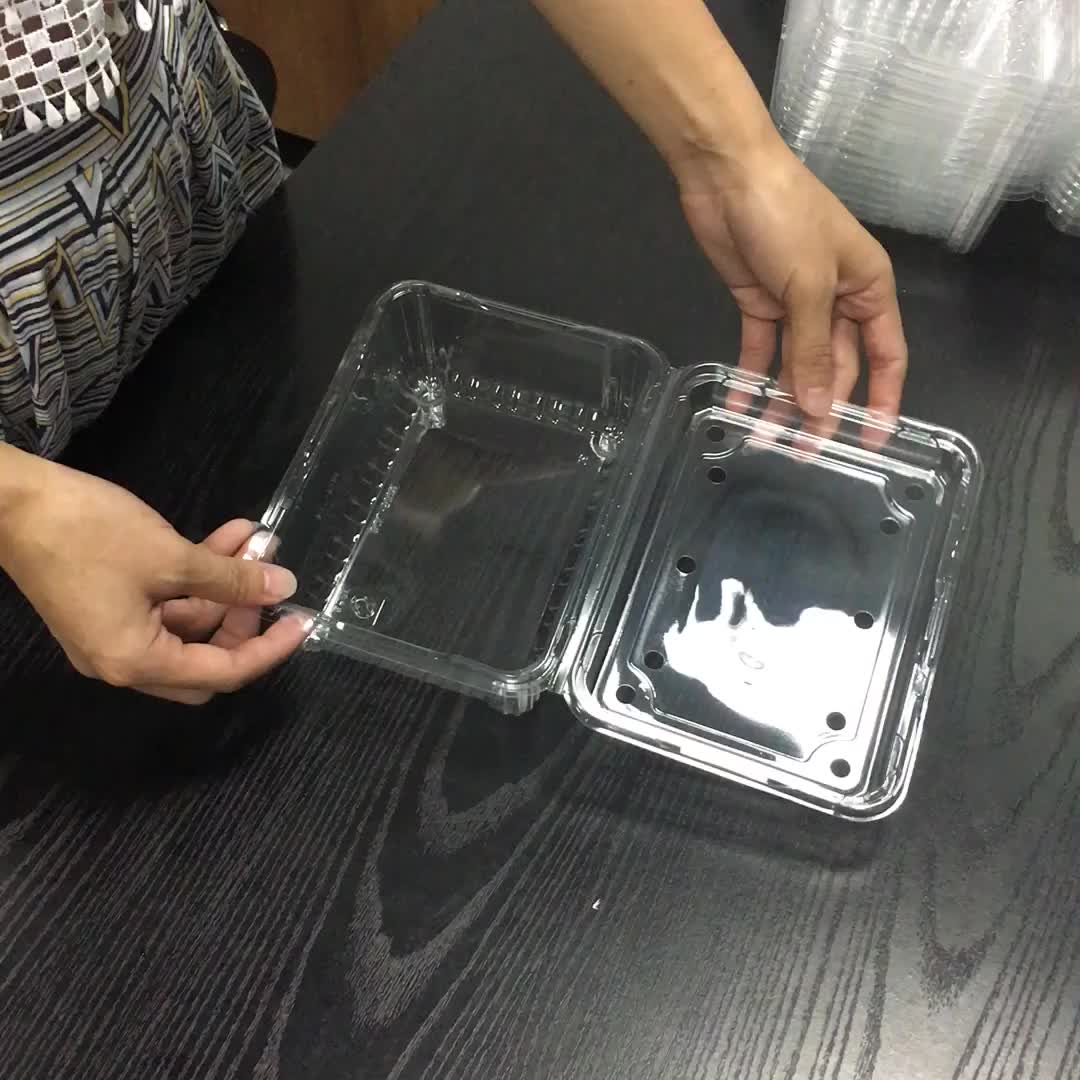 Clear Custom Made Perforated Plastic Container Factory Buy Plastic Container Custom Made