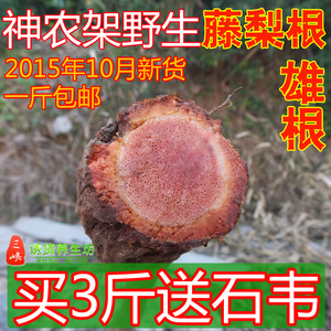 一月量野生猕猴桃根 雄杨桃根 洋桃根藤梨根和