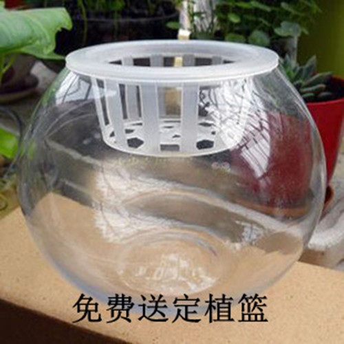 批发玻璃 水培 花瓶 透明圆球大号送定植篮绿萝