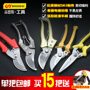 gourdes flower shears gardening shears pruning shears pruning branch shears pruning shears branch shears fruit tree pruning shears