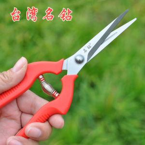 进口采果剪柑橘剪桔子剪刀摘果剪葡萄剪稀果剪