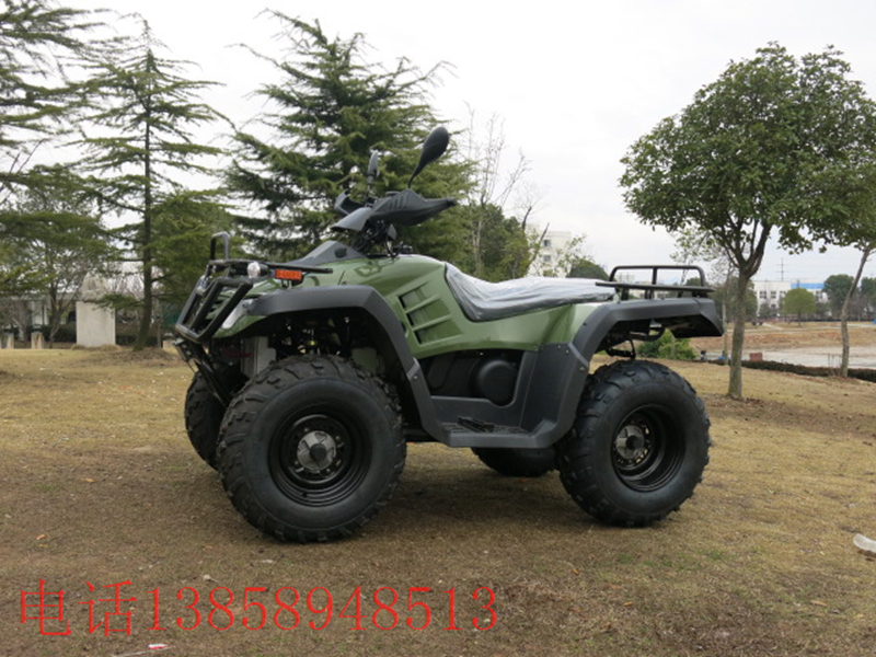全地形ATV风神300CC水沙滩车.野外沙滩车.前