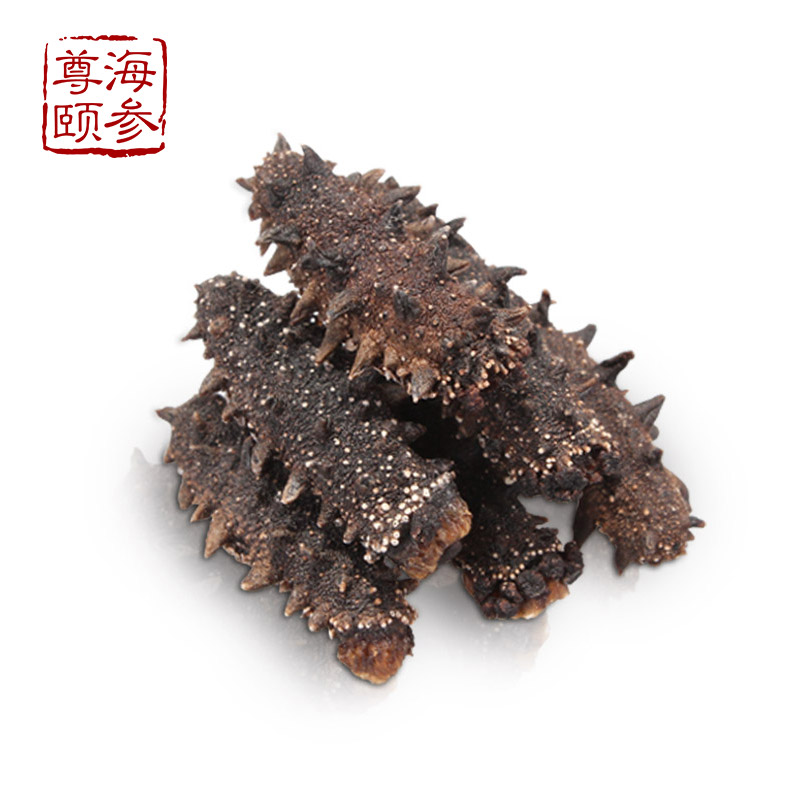 尊颐【特级 纯淡干海参】特优品质营养 海参干