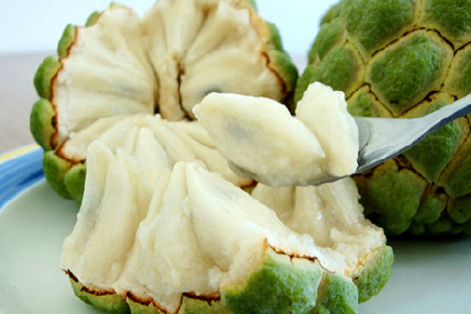 聚划算_聚划算北京站_【聚新鲜】甜旅 台湾水果皇后--释迦果，两个装净重950g!最甜的水果，果肉乳白极富奶香味，口感滑腻鲜嫩，风味独特，营养丰富，养颜美容补充活力!【免费配送】_57团团购导航!