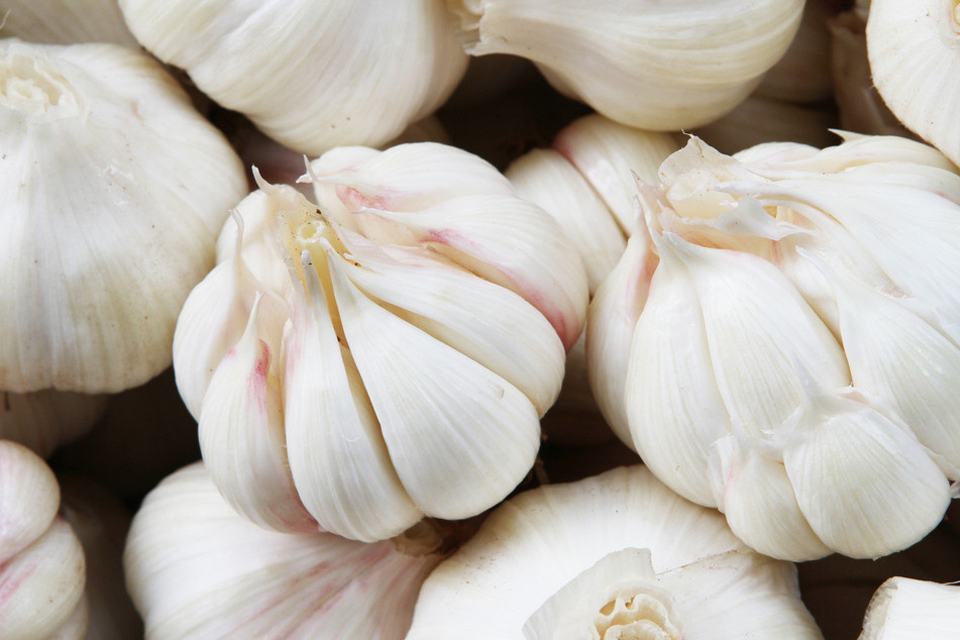 _聚划算杭州站_【聚新鲜】2013第一茬!山东苍