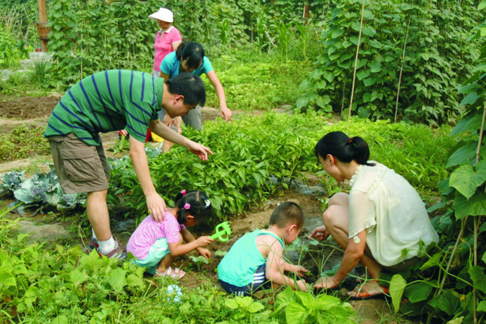 开心农场团购,开心农场打折优惠,开心农场优惠
