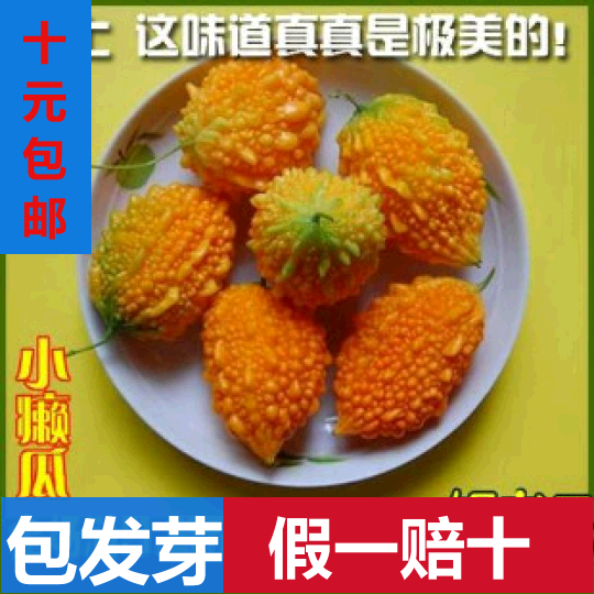 小濑瓜种子癞瓜癞规则蔬菜反思葡萄盆栽种子藤蔓语文天地课后观赏图片