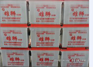 拉货拉客电动三轮车电瓶-180型砖窑电动车-14