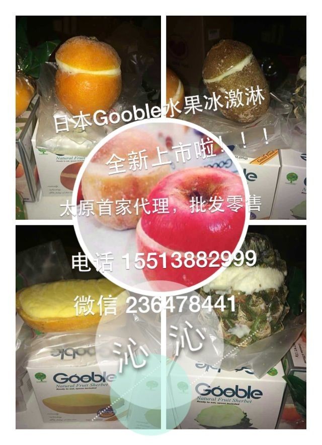 山西太原首发Gooble 水果冰激凌 全国总经销商