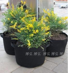 5加仑阳台花园种植袋 育苗营养美植25 30种菜