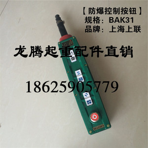 上海上联防爆控制手柄 BAK31型防爆手柄 防爆