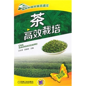 正版现货 茶高效栽培 茶叶树栽培种植技术大全