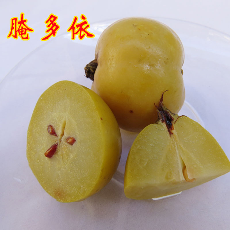 普洱 本地农家自制小吃 野生腌哆依 水果 普洱街头零食|msdalam kategori daging perikanan/Buah-buahan segar dan sayur-sayuran/dimasak, buah-buahan segar, lain - dari Buy2taobao.com untuk memberikan perkhidmatan ejen Taobao profesional membeli