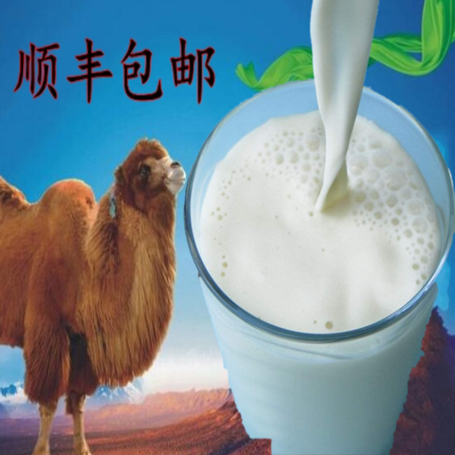 10斤骆驼奶鲜驼奶骆驼纯奶新疆草原牧场骆驼养殖地基直供骆驼原奶|ruв категории Ручная работа, национальных меньшинств, в особенности ремесла, казак - от Buy2taobao.com для оказания профессиональной услуги покупки агента Taobao