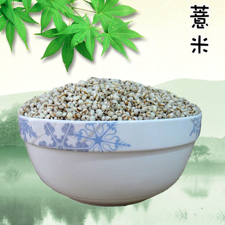 new goods Guizhou Farm high quality Barley rice 500g Coix seedin the Agri rice/Dried foods/Condiment , Meter/Flour/Grains , Rice , Barley category - from Buy2taobao.com to provide professional Taobao agent buy service