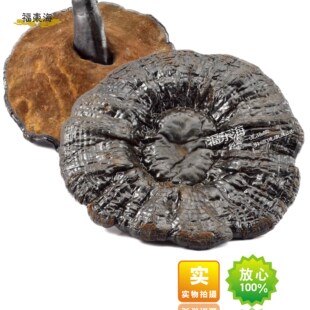  【福东海】 整个灵芝 灵芝片 正品赤灵芝 灵芝 滋补养生250g