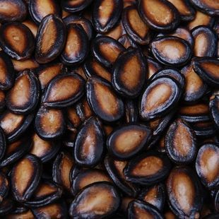  散装西瓜子香瓜子年货优质炒货西瓜子零食休闲食品5件江浙沪包邮