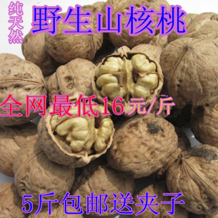  [青泥岭}陇南野生山核桃 干核桃 绵核桃 非嫁接核桃 新货 热卖中