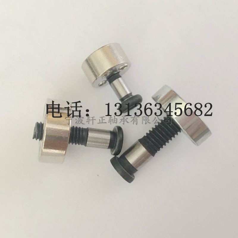 供应SG20-2RS调节定位轮 6*17*5 偏心轮滑块调节SG66 高端定制在类目 五金/工具, 机械五金, 其他机械五金(新)中 - 来自Buy2taobao.com提供专业的淘宝代购服务