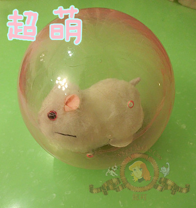 超萌电动滚动满屋跑小仓鼠老鼠猫猫最爱猫玩具狗玩具防咬宠物玩具|msdalam kategori haiwan peliharaan/makanan haiwan dan bekalan, Cat/Mainan anjing, bola getah/mainan sfera - dari Buy2taobao.com untuk memberikan perkhidmatan ejen Taobao profesional membeli