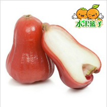 什么网站买莲雾多少钱一斤_莲雾多少钱一斤网