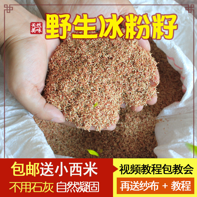 Guizhou specialty wild Ice flour seed raw material 250g Sichuan Province Ficus pumila Ice powder Bean jellyin the Agri rice/Dried foods/Condiment , Dried foods/Meat Dry , Dry/Native , Other category - from Buy2taobao.com to provide professional Taobao agent buy service