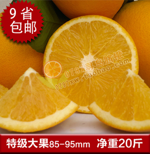  赣南脐橙20斤 新鲜水果 产地直销 江西橙子 9省包邮