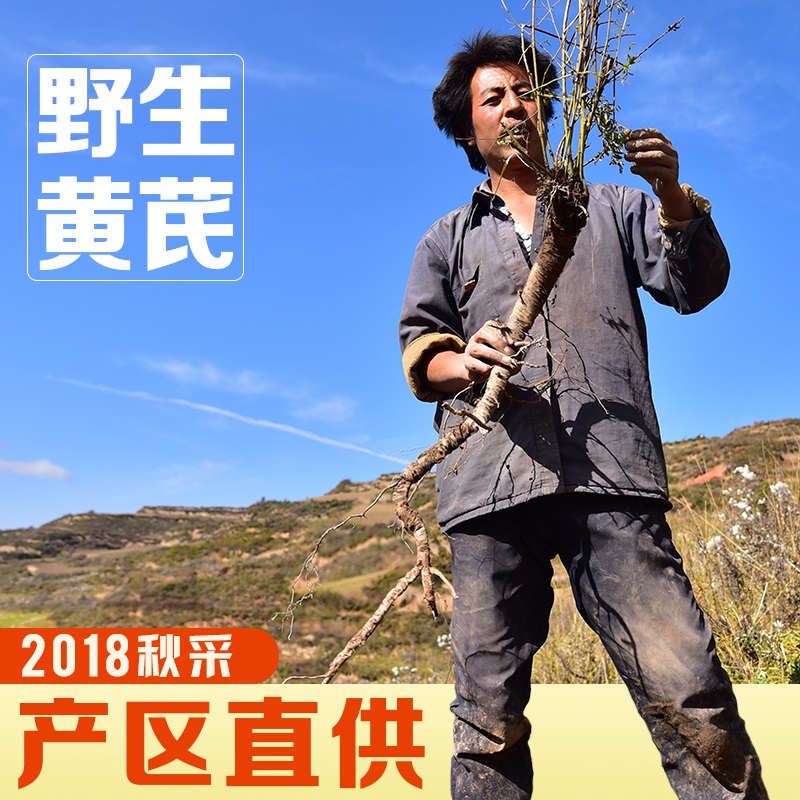 Gansu Astragalus wild Astragalus 500 Super Huangshizheng Beiqi Astragalus pieces collocation Angelica Codonopsisin the Traditional nourishing food , Other traditional tonic , Astragalus category - from Buy2taobao.com to provide professional Taobao agent buy service