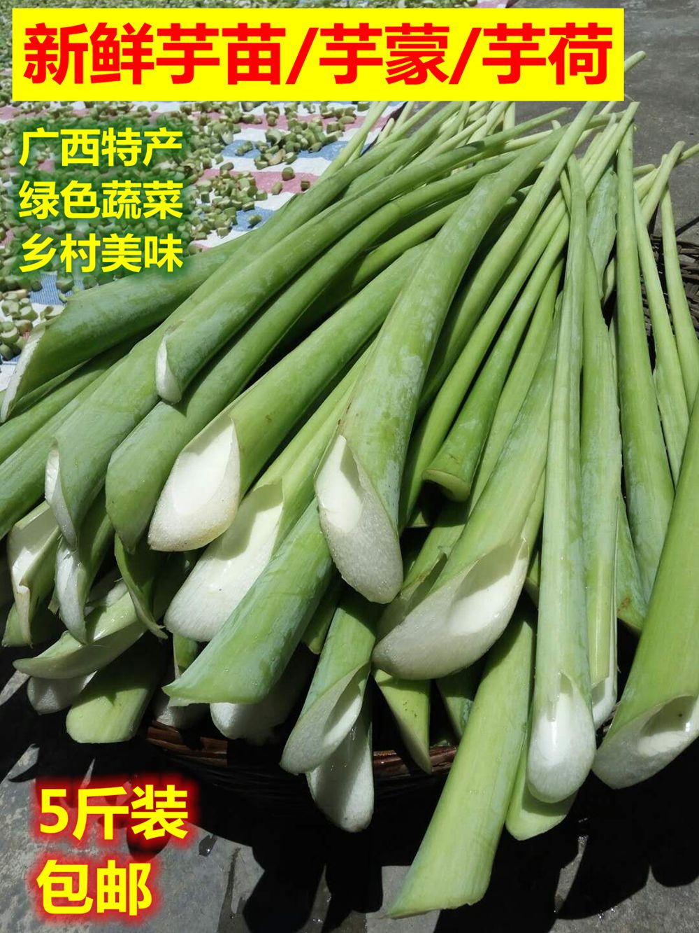 廣西新鮮芋苗芋蒙芋荷廣菜農家蔬菜開胃菜可制酸菜泡菜5斤裝包郵在類目 水產肉類/新鮮蔬果/熟食, 新鮮蔬菜/蔬菜製品, 新鮮蔬菜, 其它中 - 來自Buy2taobao.com提供專業的淘寶代購服務