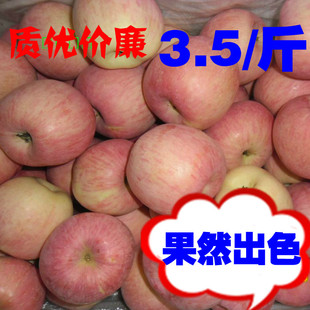  新鲜烟台栖霞 水晶红富士苹果 有机水果 3.5元/斤 净重13斤