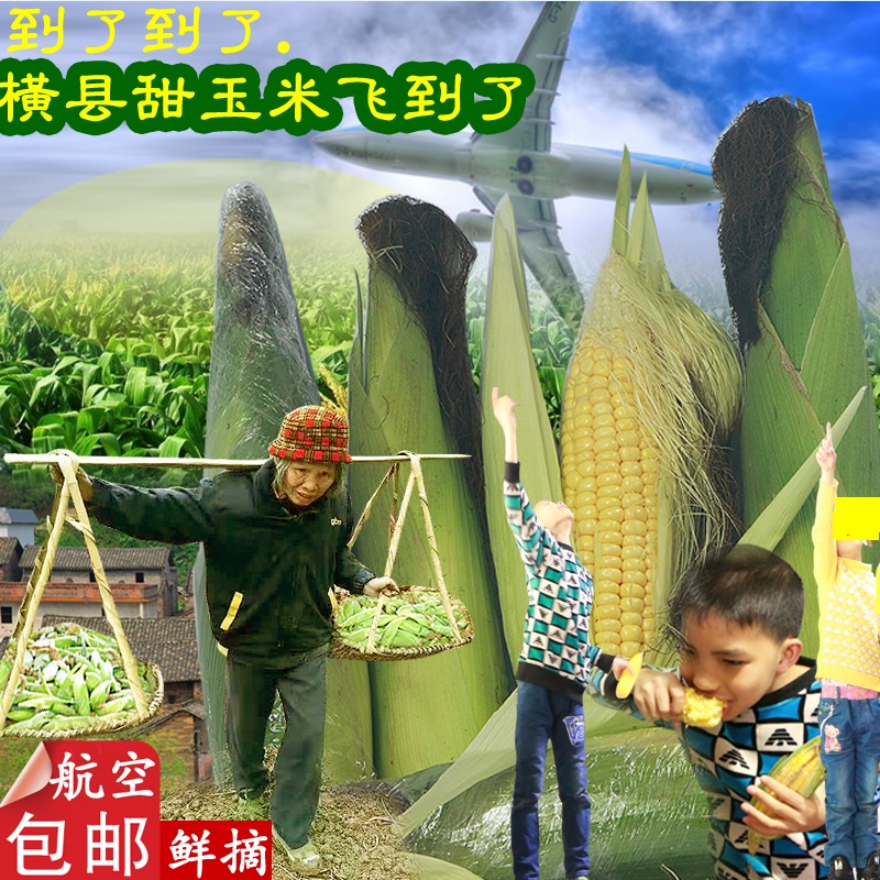 速冻特级新鲜生水果玉米粒约1kg无冰榨汁超甜