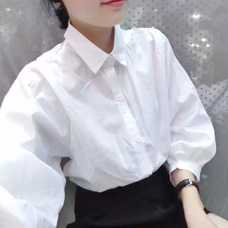 春夏季版7长袖白衬衫女学生宽松休闲打底衫百搭版纯色衬衣在类目 女装/女士精品, 衬衫中 - 来自Buy2taobao.com提供专业的淘宝代购服务