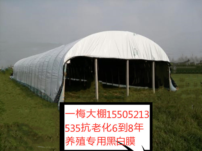 进口加厚养殖黑白膜大棚无滴膜食用菌利得膜尼龙膜防风防寒塑料膜在类目 家居饰品, 其他工艺饰品中 - 来自Buy2taobao.com提供专业的淘宝代购服务