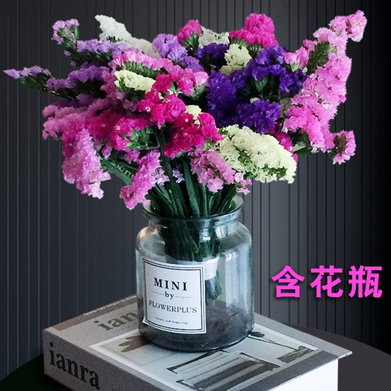 ins 风勿忘我干花小花束真花永生花瓶云南天然满天星卧室装饰摆件|ruв категории Домашний быт, ваза/цветок/искусственные цветы/моделирование украшения, сушеные цветы/лепесток/сушеные цветы пакет/сухие ветки - от Buy2taobao.com для оказания профессиональной услуги покупки агента Taobao