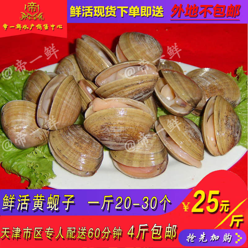 天津丹東黃蚬子鮮活柳青蛤蜊同城海鮮大連貝類2019新品滿200包郵在類目 水產肉類/新鮮蔬果/熟食, 海鮮/水產品/製品, 貝類, 貝類製品中 - 來自Buy2taobao.com提供專業的淘寶代購服務