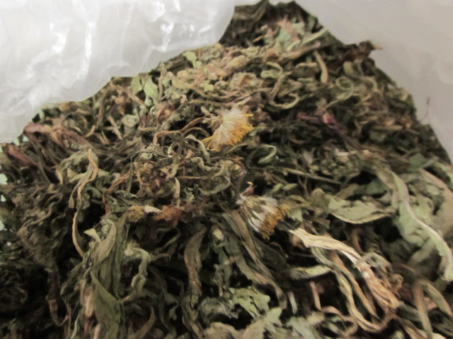 Dandelion Daxinganling wild British public The name mother Ding)in the Traditional nourishing food , Other traditional tonic , Bu Laocao category - from Buy2taobao.com to provide professional Taobao agent buy service
