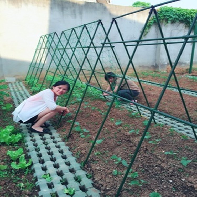瓜棚架家庭花棚扶植架壁挂网屏风架葡萄架花园爬腾杆撑蔬菜支架|ruв категории доставка цветов/цветок моделирования/растения садоводства, садовых принадлежностей, других садовых принадлежностей - от Buy2taobao.com для оказания профессиональной услуги покупки агента Taobao