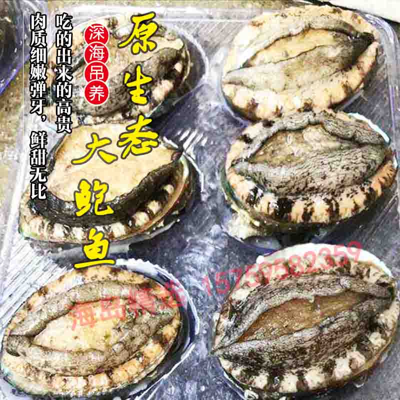 东山海岛精选 活冻深海类野生大鲍鱼新鲜活优质 海鲜海产品不泡药在类目 水产肉类/新鲜蔬果/熟食, 海鲜/水产品/制品, 贝类, 鲍鱼中 - 来自Buy2taobao.com提供专业的淘宝代购服务