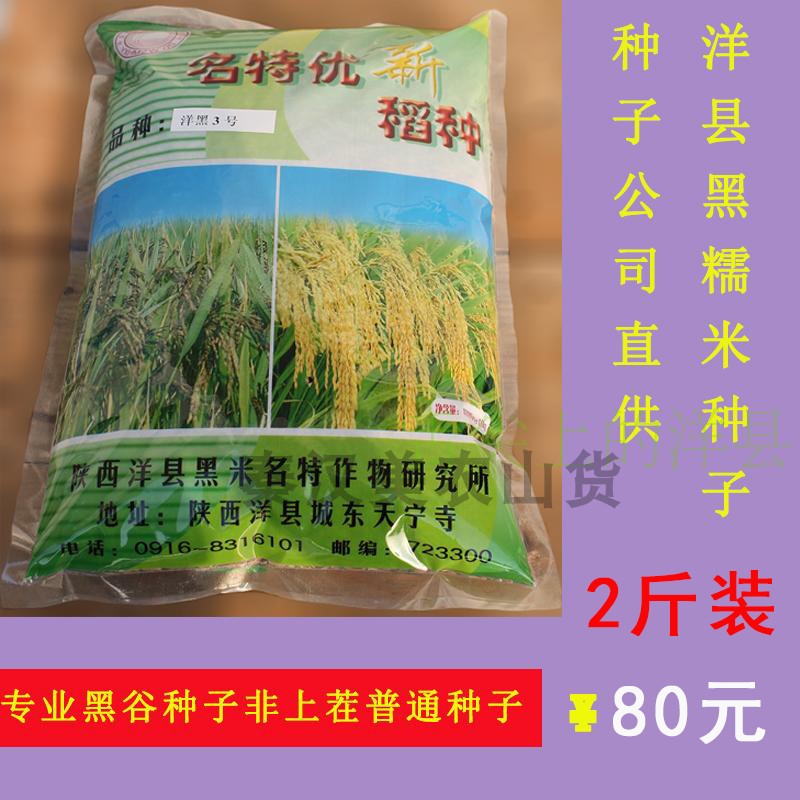 Yang County Black rice Paddy Black rice seed Paddy Rice Seeds Black glutinous rice high quality Black rice Seed 1kgin the Agri rice/Dried foods/Condiment , Meter/Flour/Grains , Rice , Black rice category - from Buy2taobao.com to provide professional Taobao agent buy service
