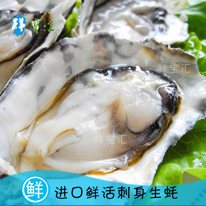 特价冰岛原装进口 鲜活刺身生蚝 牡蛎 配送5个起拍十个起赠送蚝刀在类目 水产肉类/新鲜蔬果/熟食, 海鲜/水产品/制品, 贝类, 贝类制品中 - 来自Buy2taobao.com提供专业的淘宝代购服务