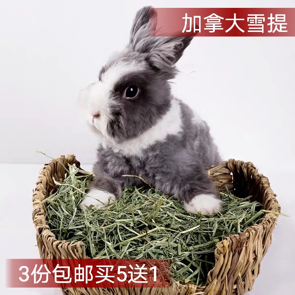 加拿大优质提摩西草段雪提500克兔草龙猫荷兰猪草三份包邮买5送一在类目 宠物/宠物食品及用品, 兔类及其用品, 兔兔干草中 - 来自Buy2taobao.com提供专业的淘宝代购服务
