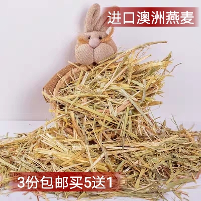 进口澳洲黄金燕麦草段荷兰猪兔草可替代提摩西3份包邮买五送一在类目 宠物/宠物食品及用品, 兔类及其用品, 兔兔干草中 - 来自Buy2taobao.com提供专业的淘宝代购服务