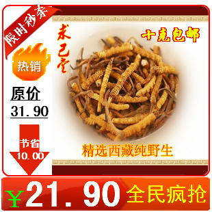 正品精选野生西藏冬虫夏草 断虫草纯肉体自用送礼实泡酒实惠特干