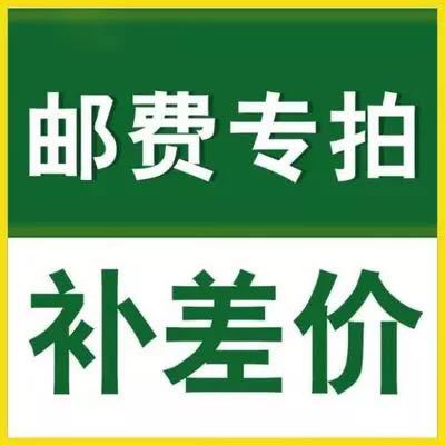 运费补差在类目 办公设备/耗材/相关服务, 点/验钞/收款机及配件, 收款机配件中 - 来自Buy2taobao.com提供专业的淘宝代购服务