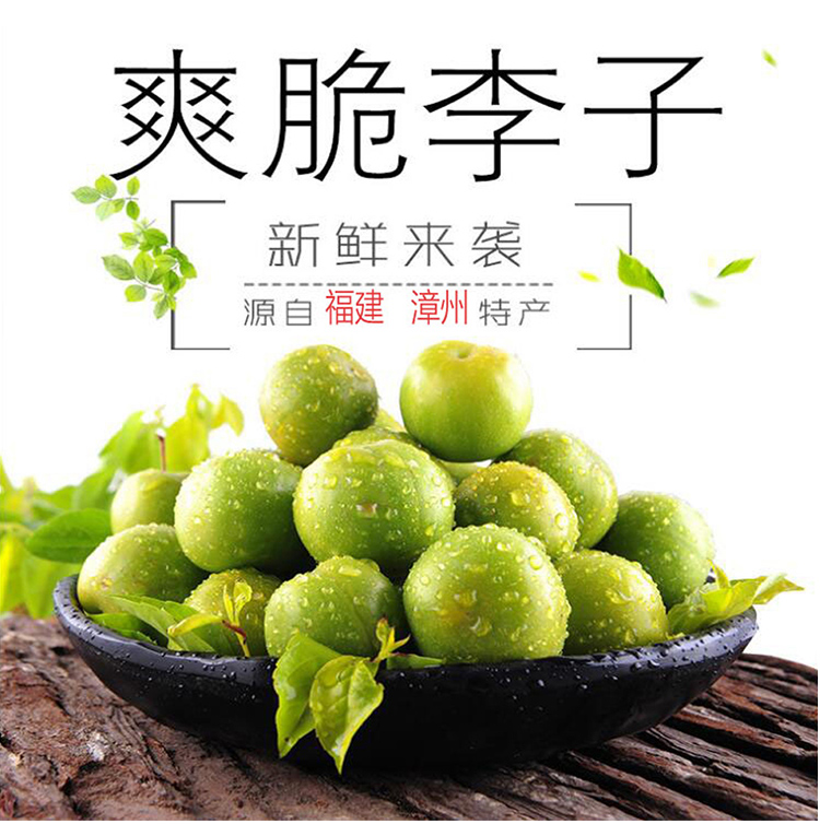 goods in stock Plums fresh pregnant woman fruit Sichuan Province Lee Green Guangxi March LI Pickled 5 poundsin the Aquatic meat/Fresh fruits and vegetables/Cooked , Fresh fruit , Plums category - from Buy2taobao.com to provide professional Taobao agent buy service