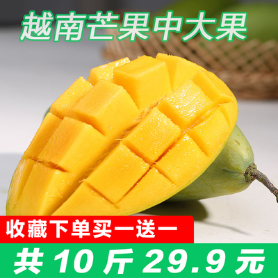 青皮芒果越南进口新鲜水果 玉芒青芒热带水果包邮带箱共发10斤