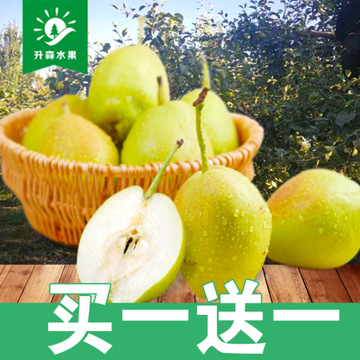 升森水果 新疆库尔勒香梨现摘特产梨子新鲜水果整箱批发包邮