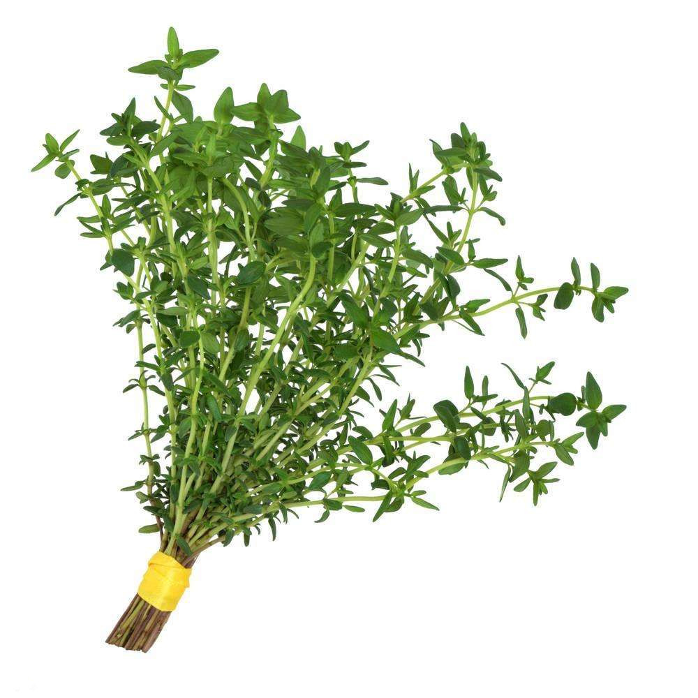 Features vegetables fresh Thyme spice Western Products 12/100 gramin the Aquatic meat/Fresh fruits and vegetables/Cooked , Fresh vegetables/Vegetable products , Fresh vegetables , Other category - from Buy2taobao.com to provide professional Taobao agent buy service